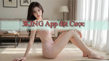 3king app đặt cược