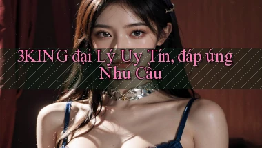 3king  đại lý uy tín, đáp ứng nhu cầu