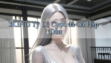 3king  tỷ lệ cược đá gà hấp dẫn