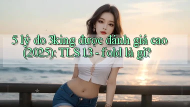 5 lý do 3king được đánh giá cao (2025) TLS 1.3   fold là gì