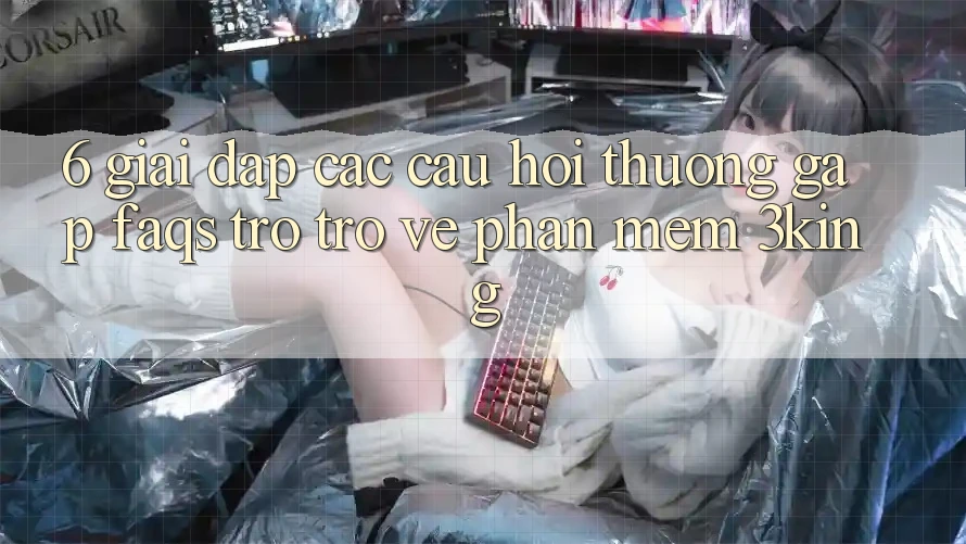 6. Giải Đáp Các Câu Hỏi Thường Gặp (FAQs) Trở trở về Phần mềm 3king