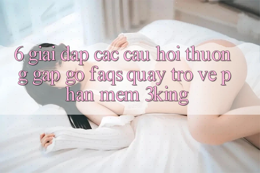 6. Giải Đáp Các Câu Hỏi Thường Gặp gỡ (FAQs) Quay trở về Phần mềm 3king