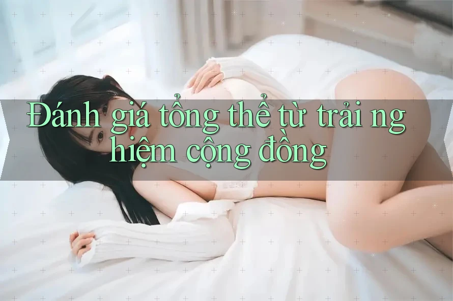 Đánh giá tổng thể từ trải nghiệm cộng đồng