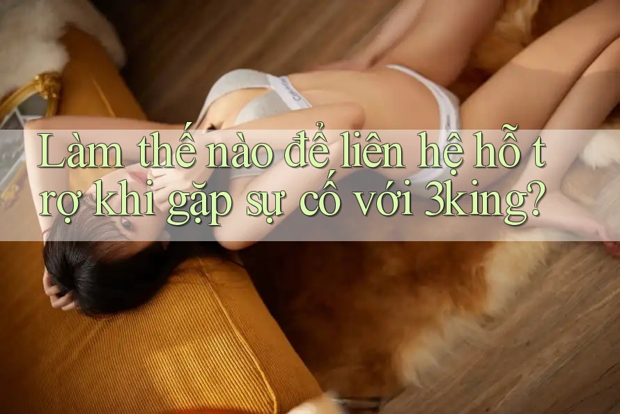 Làm thế nào để liên hệ hỗ trợ khi gặp sự cố với 3king? Làm thế nào để liên hệ hỗ trợ khi gặp sự cố với 3king?