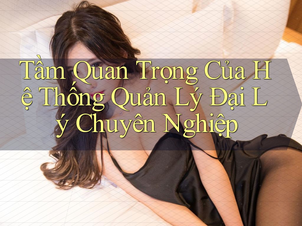 Tầm Quan Trọng Của Hệ Thống Quản Lý Đại Lý Chuyên Nghiệp Tầm Quan Trọng Của Hệ Thống Quản Lý Đại Lý Chuyên Nghiệp