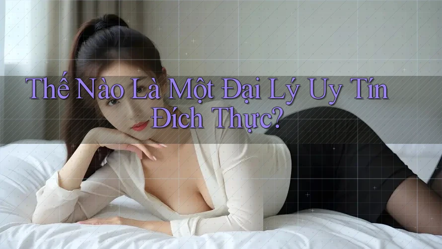 Thế Nào Là Một Đại Lý Uy Tín Đích Thực?