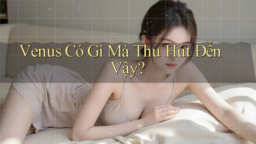 Venus Có Gì Mà Thu Hút Đến Vậy? Venus Có Gì Mà Thu Hút Đến Vậy?